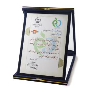 دنیز ماکارون